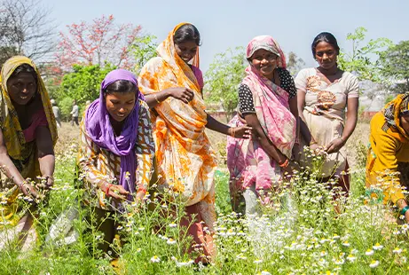 International Sustainability Impact Report 2025 | Tata Consumer Products